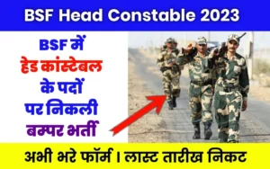 BSF Head Constable (HC) RO/ RM Recruitment 2023